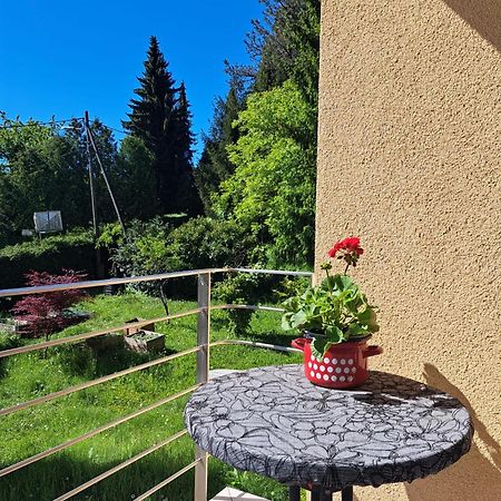 The John Rand Suite Samobor Esterno foto